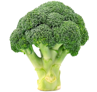 La teneur en protéines d'un brocolis cuit est de 2,1 g pour 100 g, ce qu'oublient de dire le documentaire What the Health